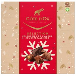 Côte d'Or Adult Advent Calendar 235 gr